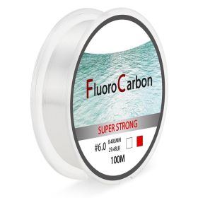 100 Meter Competitive Silk Nylon Fishing Line (Option: Transparent-1.0)