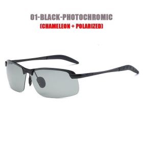1pc Polarized Chameleon Sunglasses With Glasses Case For Outdoor Fishing; Travel Hiking Driving (color: Black Frame)